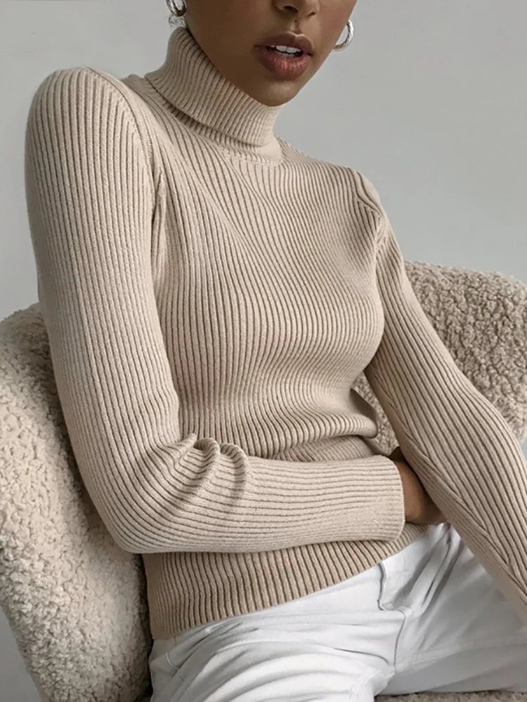 Warm Jumper Type Top